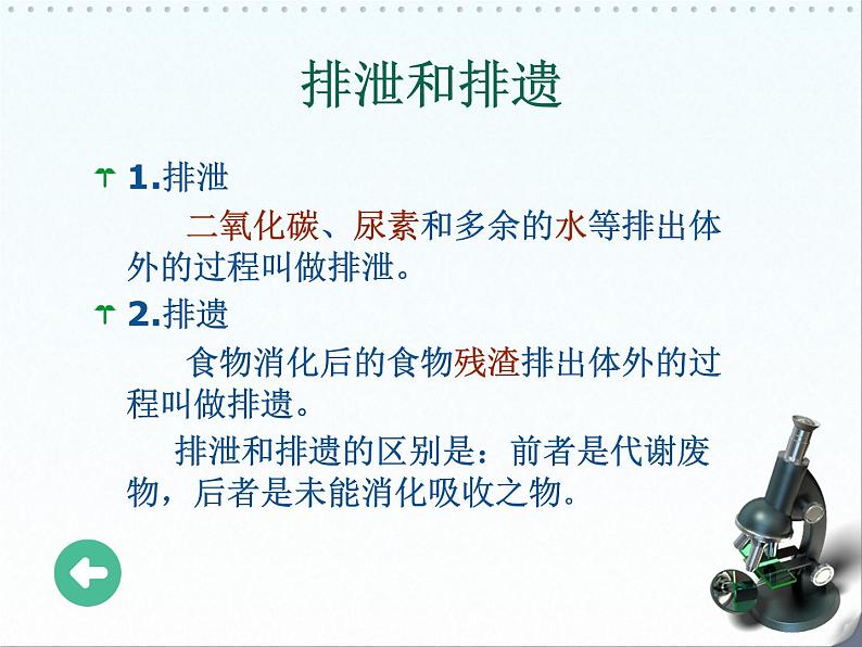 北师大版七下生物 11.2尿的形成与排出 课件第4页