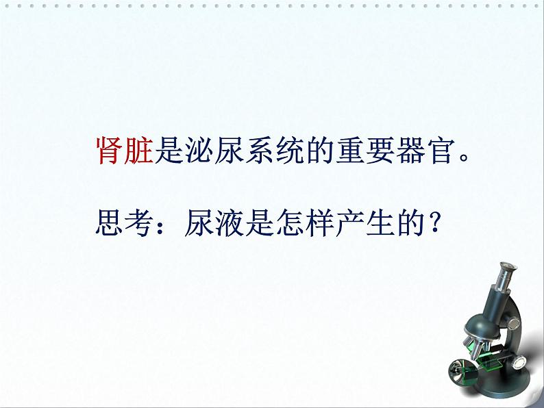北师大版七下生物 11.2尿的形成与排出 课件第6页