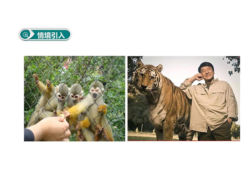 北師大版七下生物 14.2保護(hù)生物圈是全人類的共同義務(wù) 課件第2頁
