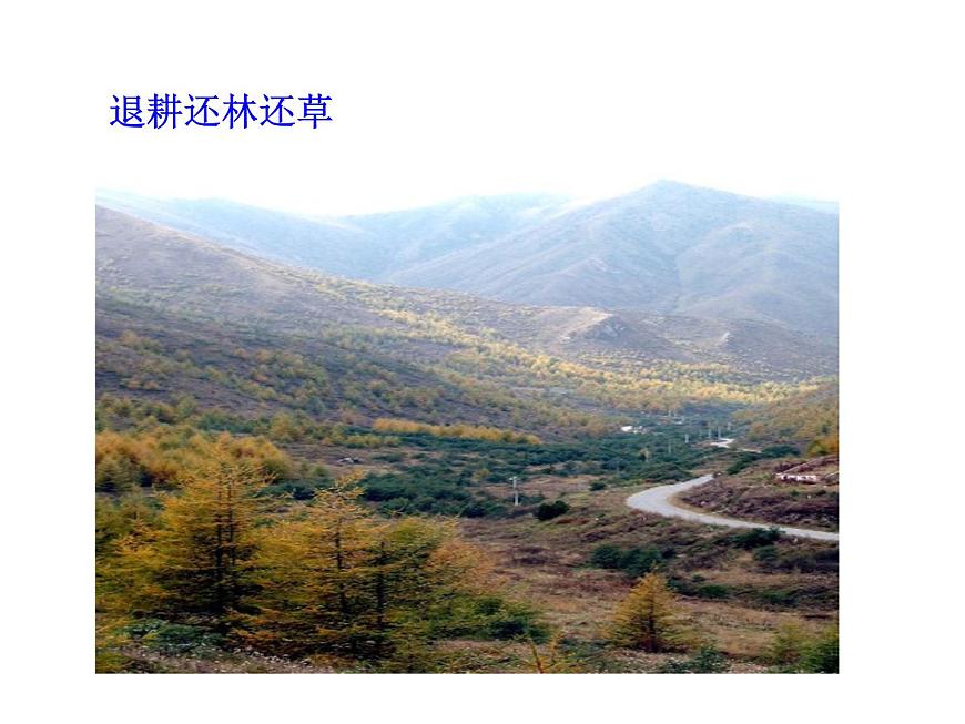 北師大版七下生物 14.2保護(hù)生物圈是全人類的共同義務(wù) 課件第5頁