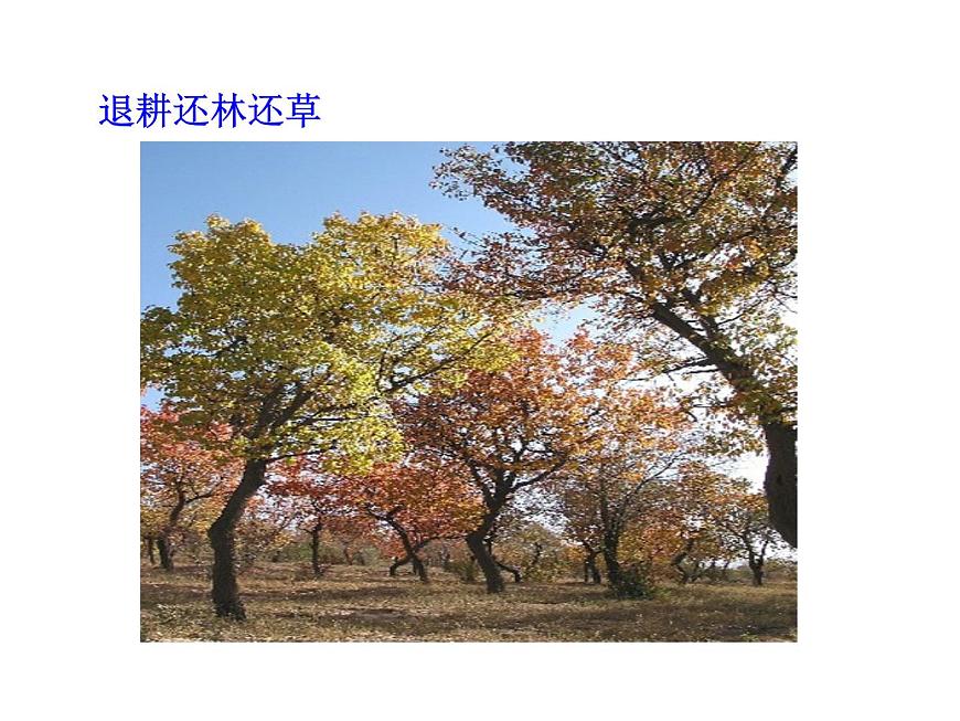 北師大版七下生物 14.2保護(hù)生物圈是全人類的共同義務(wù) 課件第6頁