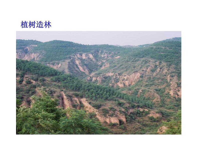 北师大版七下生物 14.2保护生物圈是全人类的共同义务 课件第7页