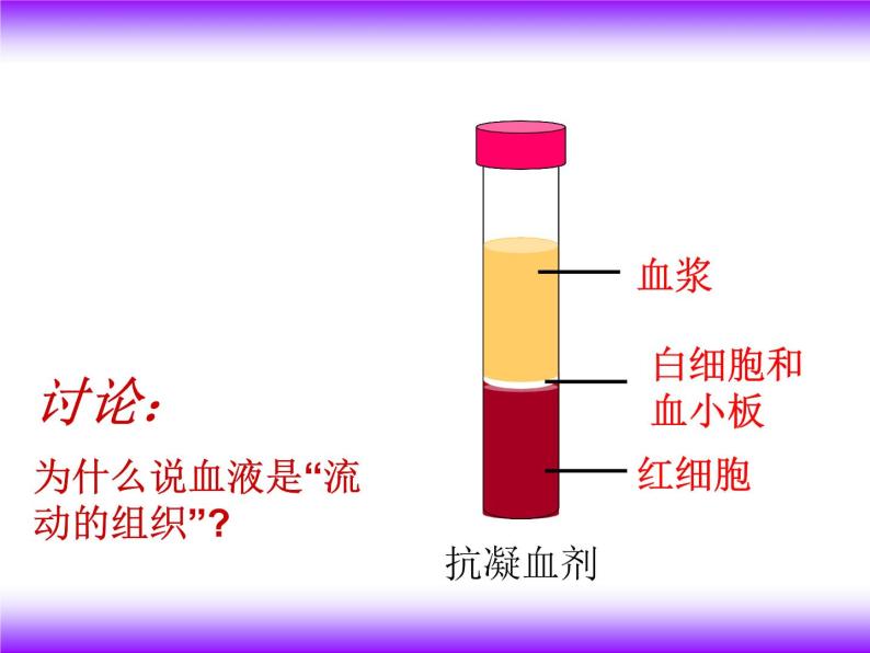 济南版七下生物 3.1物质运输的载体 课件04