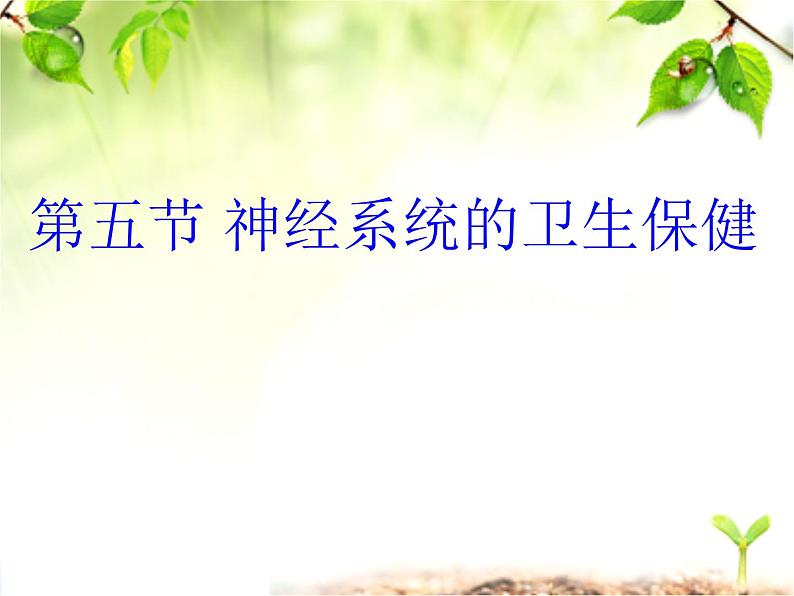 济南版七下生物 5.5神经系统的卫生保健 课件第3页