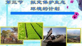 初中生物鲁科版 (五四制)七年级下册第三节 拟定保护生态环境的计划备课ppt课件