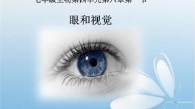 初中生物鲁科版 (五四制)七年级下册第四单元 生物圈中的人第六章 人体生命活动的调节第一节 人体对外界环境的感知背景图ppt课件