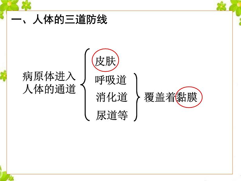 鲁科版(五四制)七下生物 5.1.2 免疫与计划免疫 课件第3页