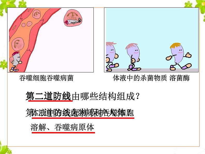 鲁科版(五四制)七下生物 5.1.2 免疫与计划免疫 课件第7页