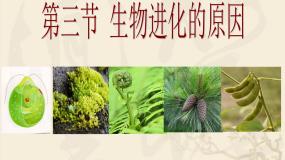 鲁科版 (五四制)八年级下册第三节 生物进化的原因图文ppt课件