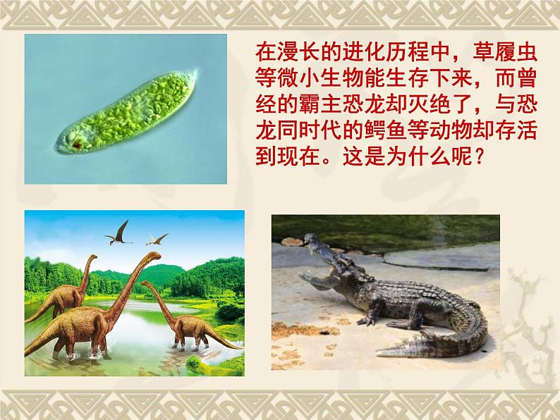 鲁科版(五四制)八下生物 8.3.3 生物进化的原因 课件第2页