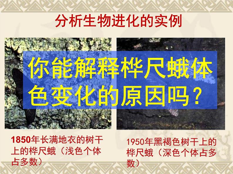 鲁科版(五四制)八下生物 8.3.3 生物进化的原因 课件第3页