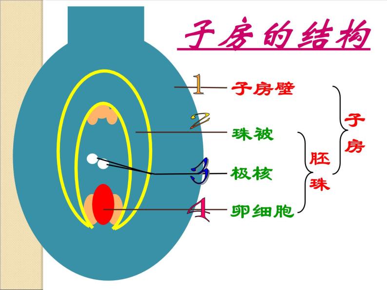 人教版八下生物 7.1.1植物的生殖 课件06