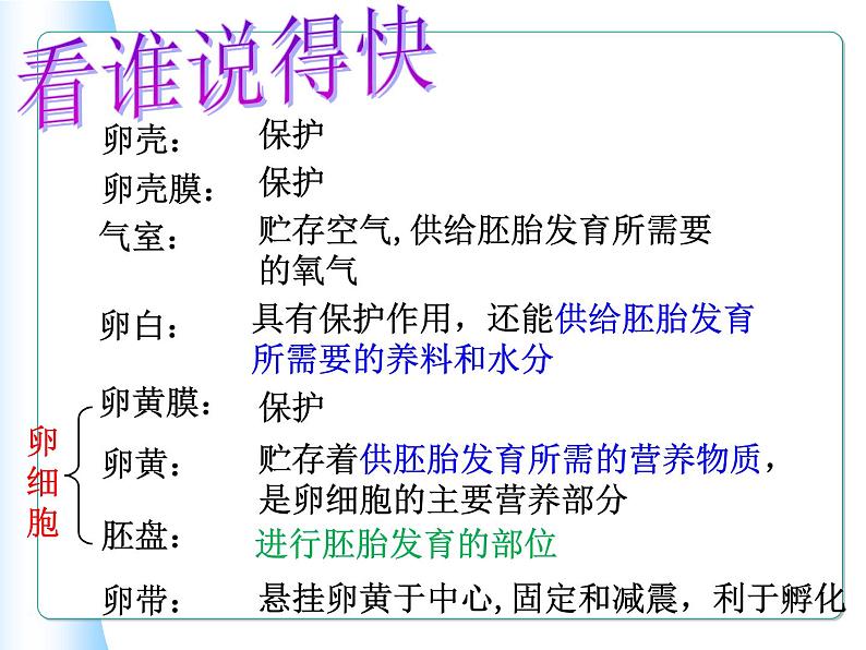 苏教版八下生物 21.5鸟类的生殖与发育 课件第3页