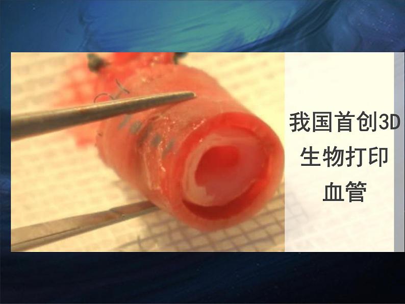 苏教版八下生物 24.2关注生物技术 课件02