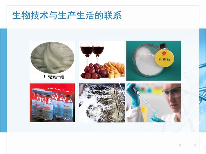 苏教版八下生物 24.2关注生物技术 课件08