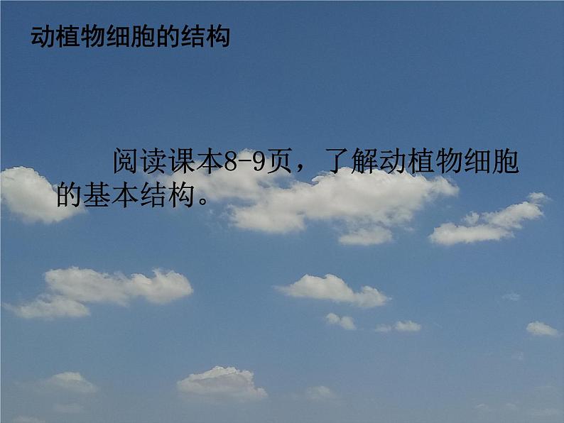 苏科版七下生物 8.1 生物体的基本结构 课件04