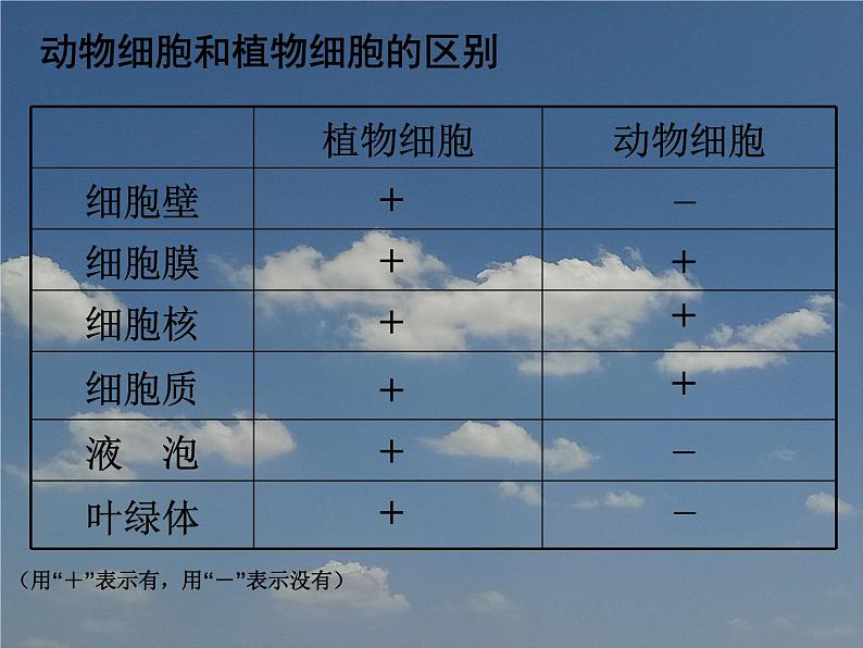 苏科版七下生物 8.1 生物体的基本结构 课件07