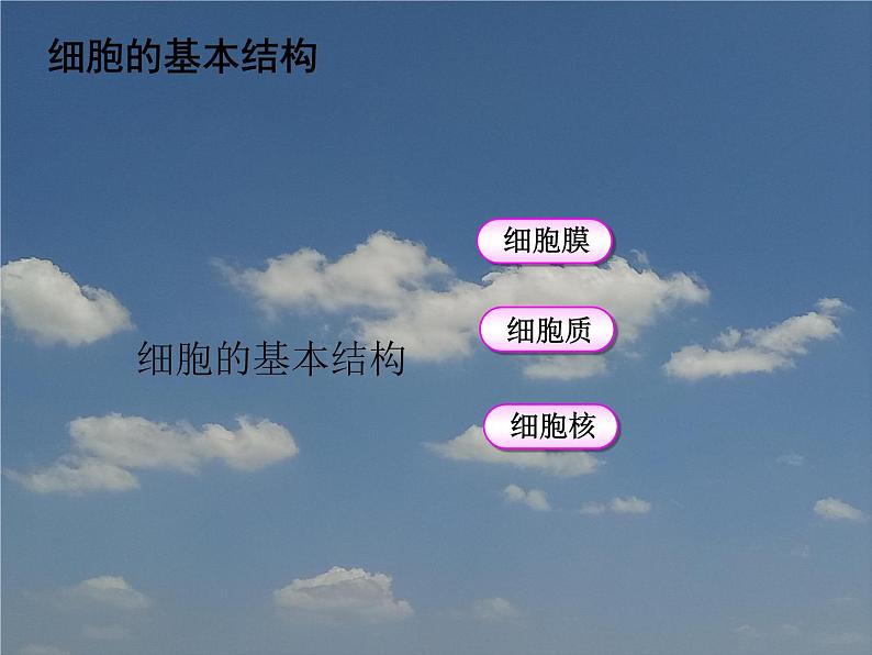苏科版七下生物 8.1 生物体的基本结构 课件08