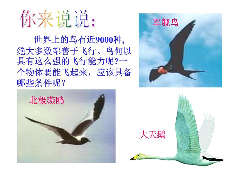 苏科版七下生物 12.1 鸟类 课件02