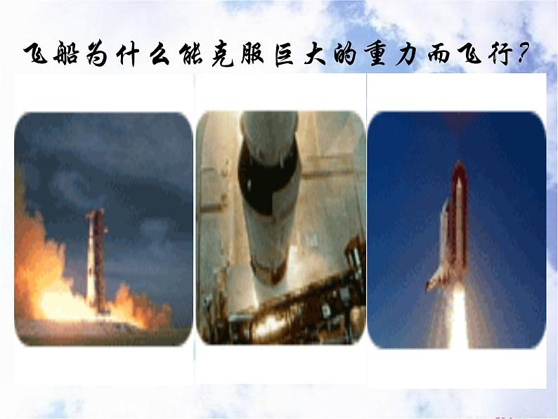 苏科版七下生物 12.1 鸟类 课件05