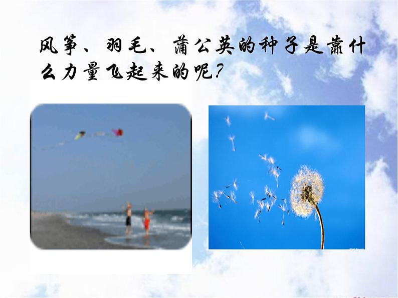 苏科版七下生物 12.1 鸟类 课件06