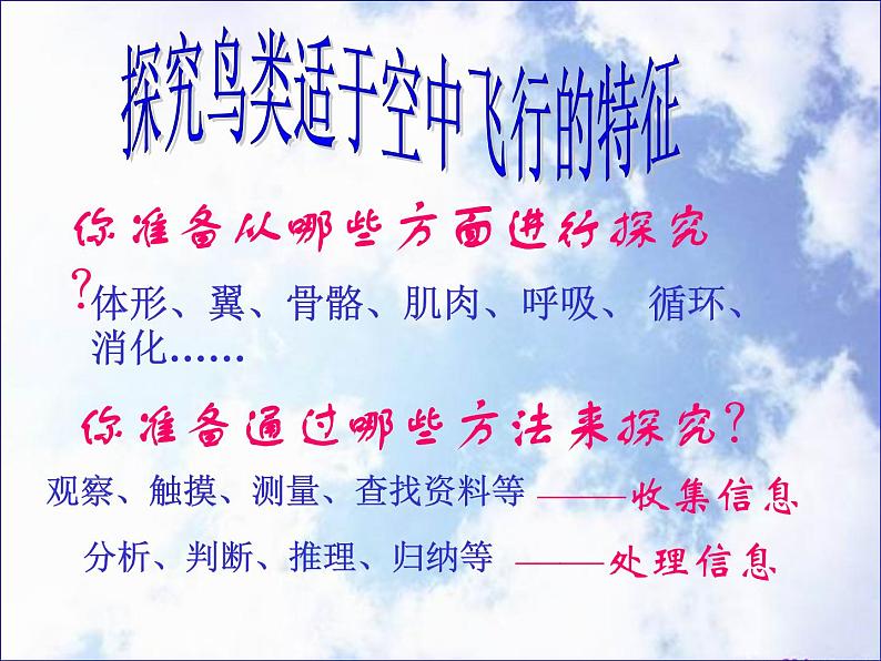 苏科版七下生物 12.1 鸟类 课件08