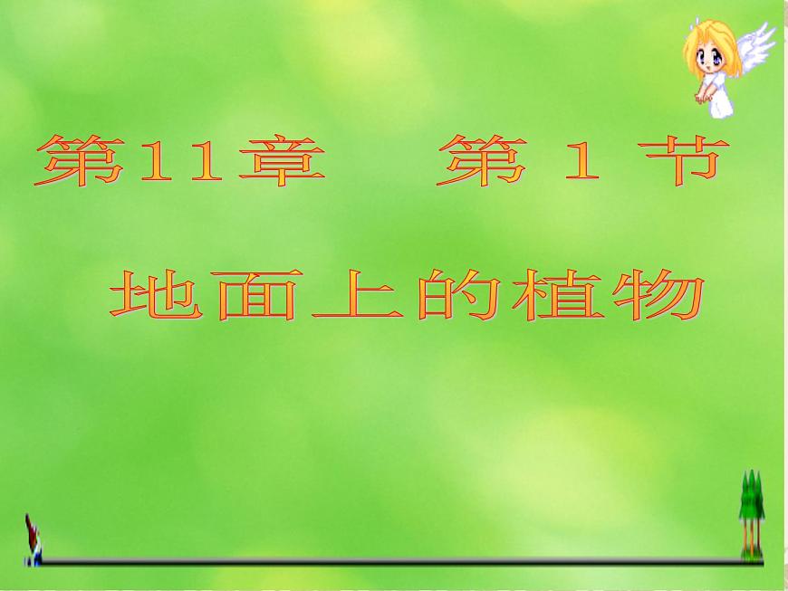 蘇科版七下生物 11.1 地面上的植物 課件第1頁