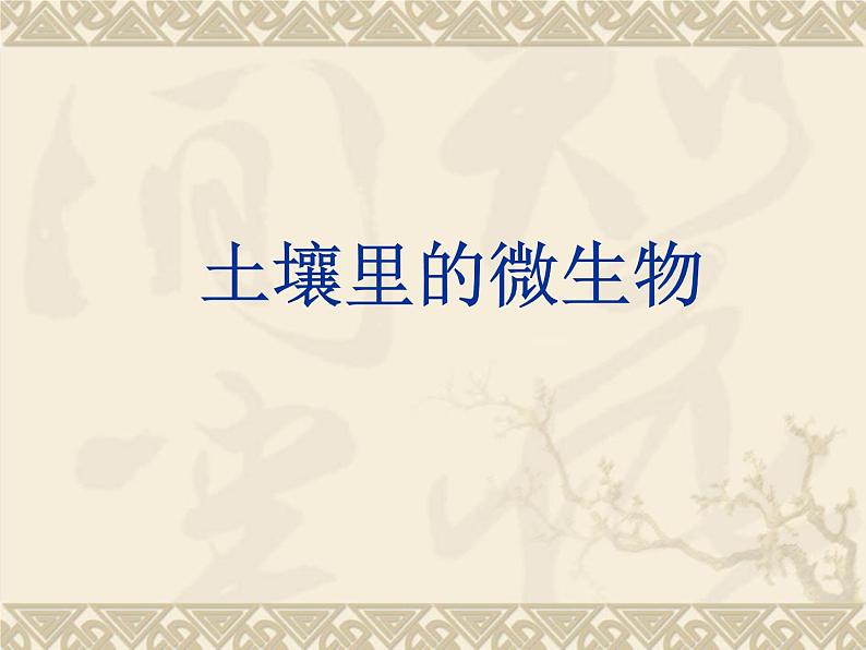 苏科版七下生物 13.2 土壤里的微生物 课件第1页