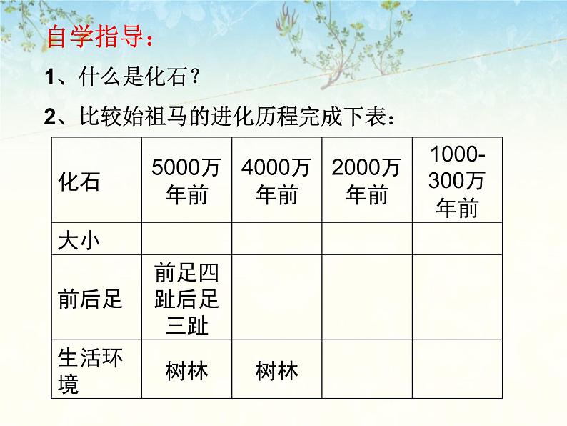 苏科版八下生物 23.2 生物进化的历程 课件02