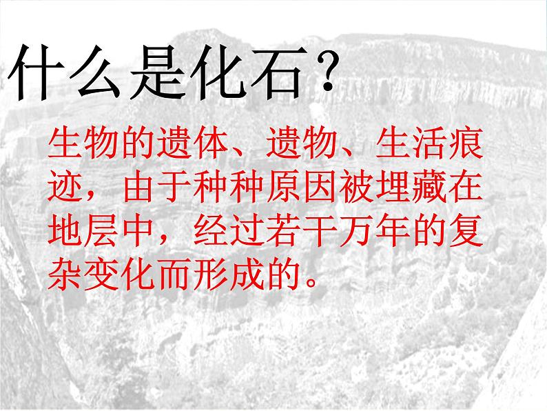 苏科版八下生物 23.2 生物进化的历程 课件03