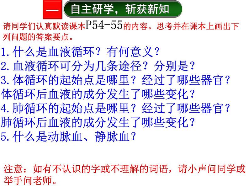 济南版七下生物 3.3物质运输的途径 课件03