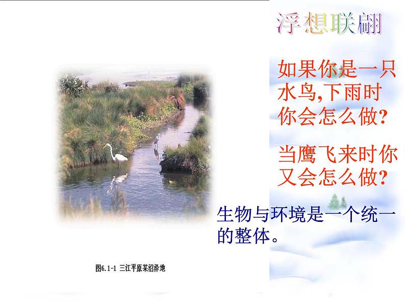 济南版八下生物 6.2.1生态系统的组成 课件第2页