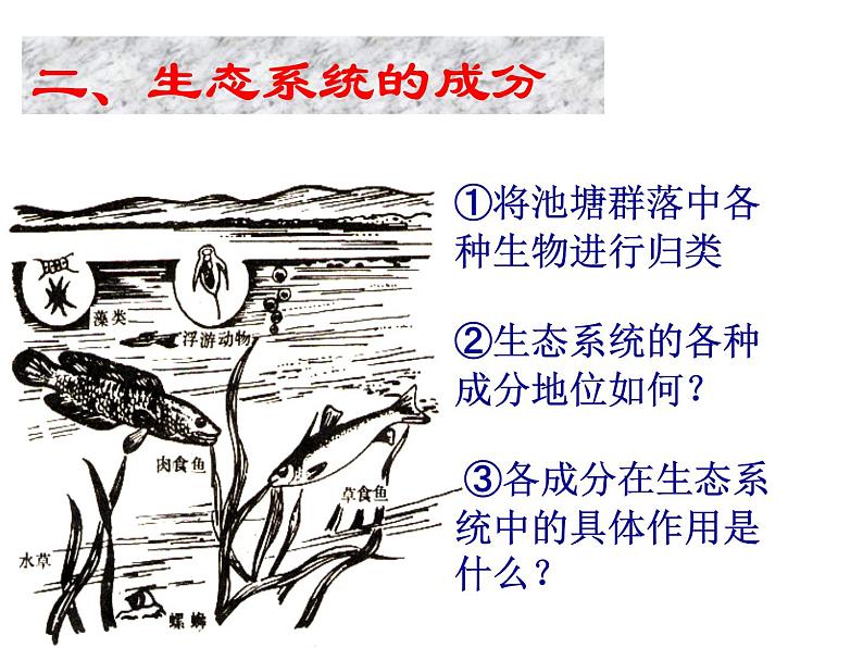 济南版八下生物 6.2.1生态系统的组成 课件第6页