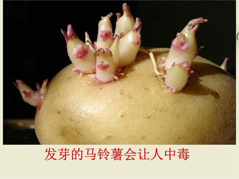 冀教版七下生物 1.4食品安全 课件第3页