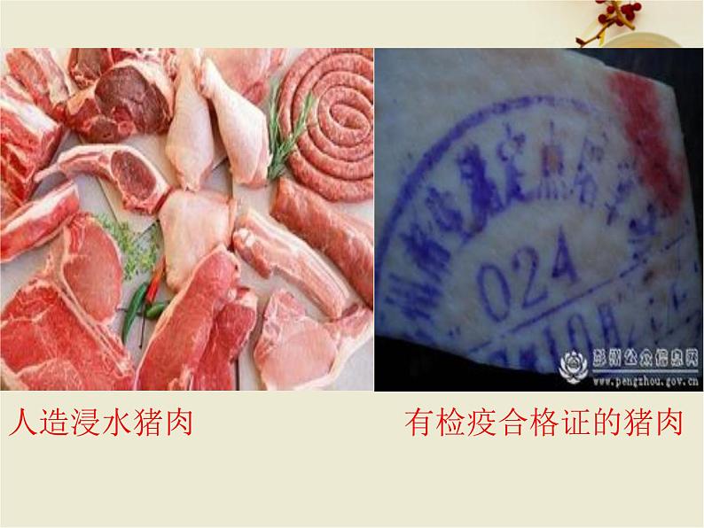 冀教版七下生物 1.4食品安全 课件第6页