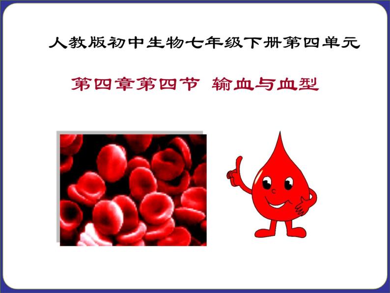 人教版七下生物  4.4输血与血型  课件03