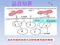 人教版 (新课标)七年级下册第四单元 生物圈中的人第五章 人体内废物的排出多媒体教学课件ppt