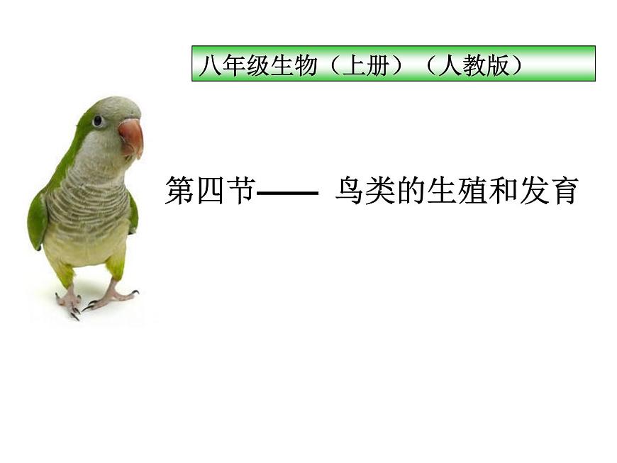 人教版八下生物 7.1.4鳥的生殖和發(fā)育 課件第3頁