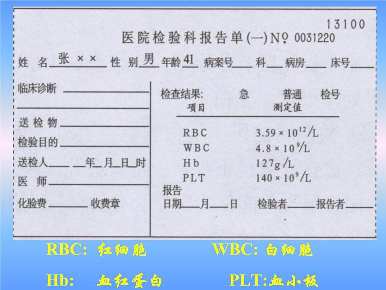 人教版七下生物 4.1游动的组织 血液 课件第2页