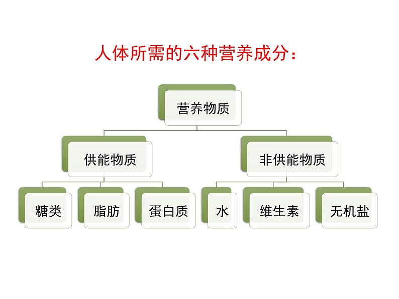 冀教版七下生物 1.1食物 课件05