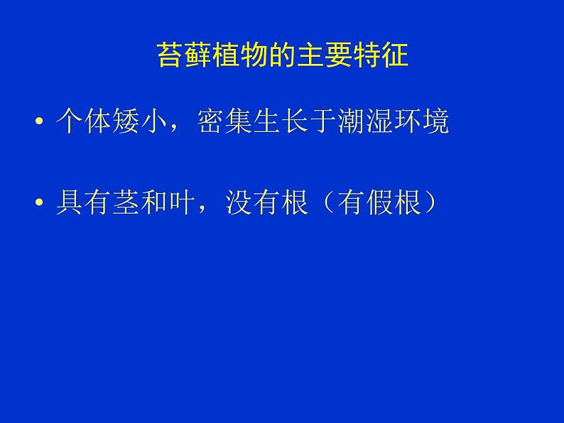 北师大版八下生物 22.3植物的主要类群 课件第6页