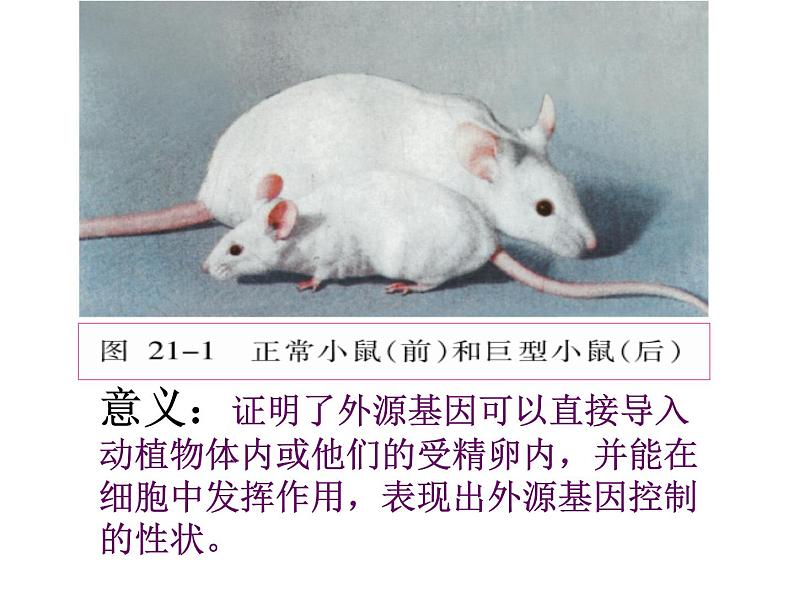 2022年苏教版八年级生物下册第24章第1节现代生物技术的应用课件 (1)第7页