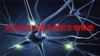 初中生物濟(jì)南版七年級(jí)下冊(cè)第二節(jié) 神經(jīng)調(diào)節(jié)的結(jié)構(gòu)基礎(chǔ)說(shuō)課課件ppt