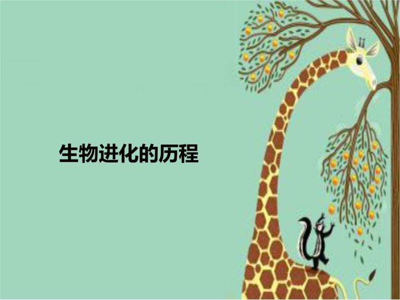 济南社八年级下册生物 5.1.3生物进化的历程 课件01