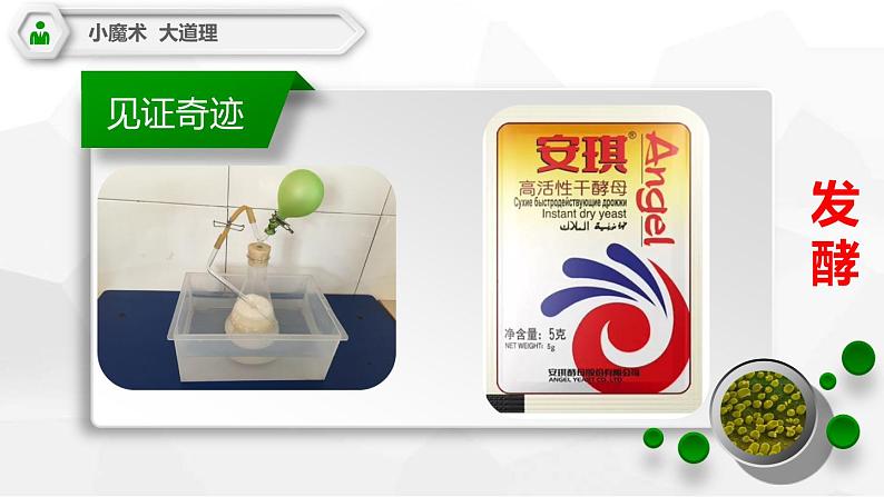 济南社八年级下册生物 7.1.1发酵技术 课件第2页