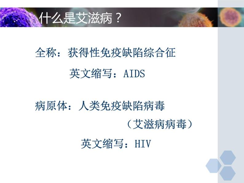 冀教版七年级下册生物 6.3 艾滋病的发生与流行 课件04
