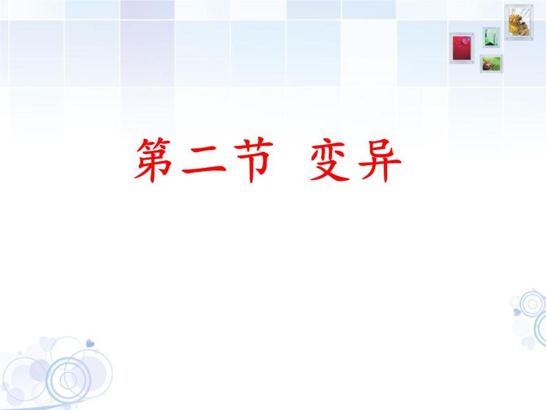 冀教版八年级下册生物  6.2.2变异 课件02