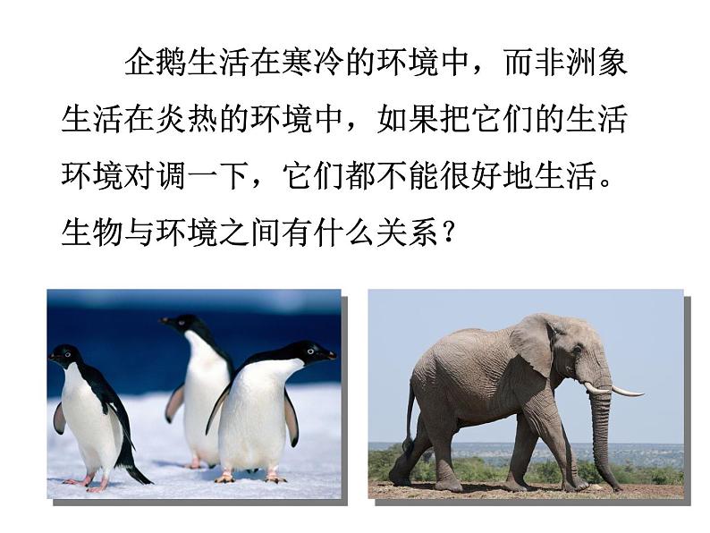 冀教版八年级下册生物 7.1.2生物对环境的适应和影响 课件02