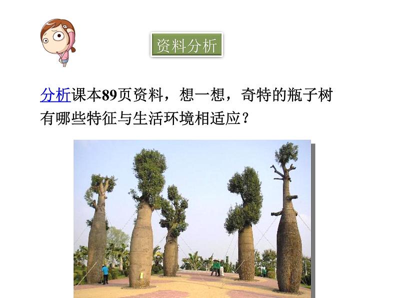 冀教版八年级下册生物 7.1.2生物对环境的适应和影响 课件04