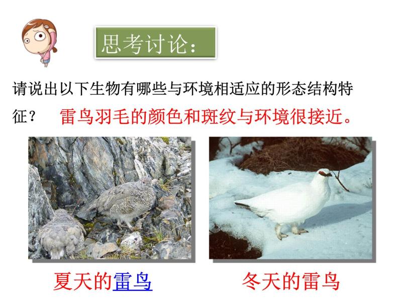 冀教版八年级下册生物  7.1.2生物对环境的适应和影响 课件05